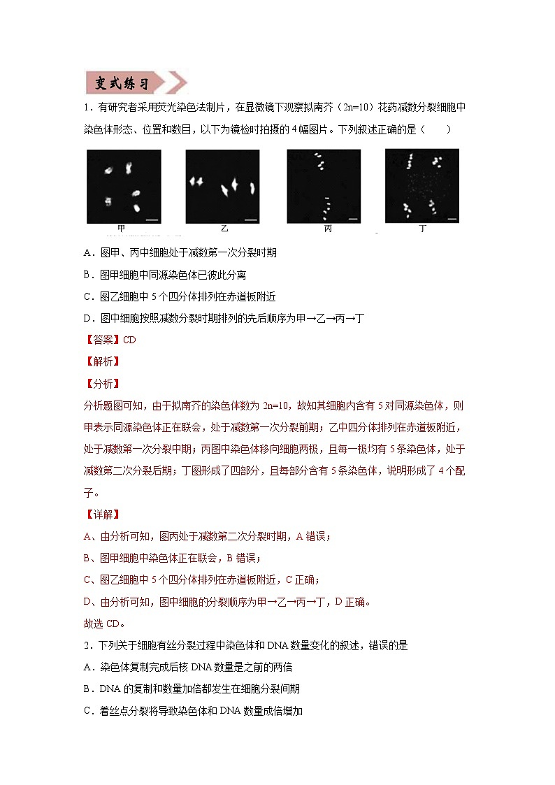 备战2021年高考生物一轮复习 易错点04 细胞的生命历程 试卷02