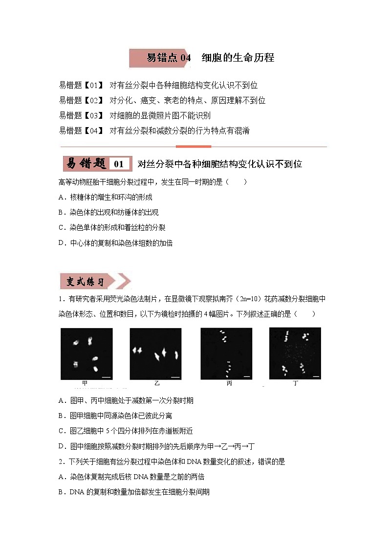 备战2021年高考生物一轮复习 易错点04 细胞的生命历程 试卷01