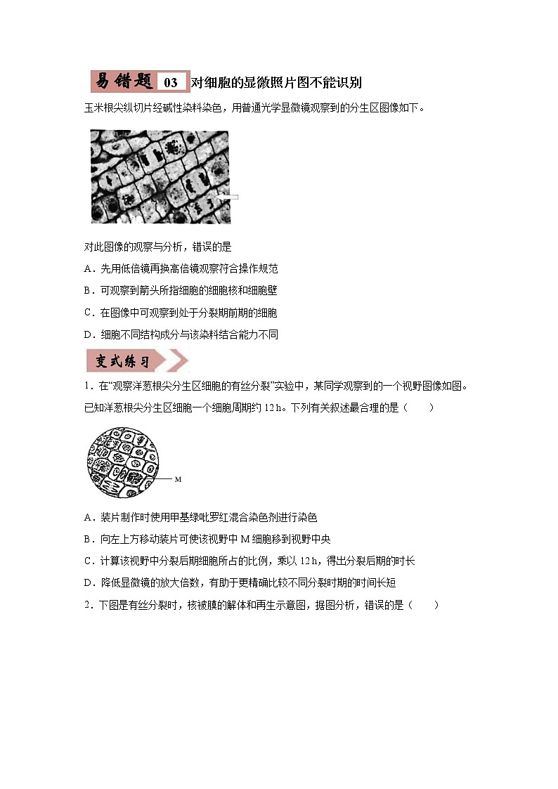 备战2021年高考生物一轮复习 易错点04 细胞的生命历程 试卷03