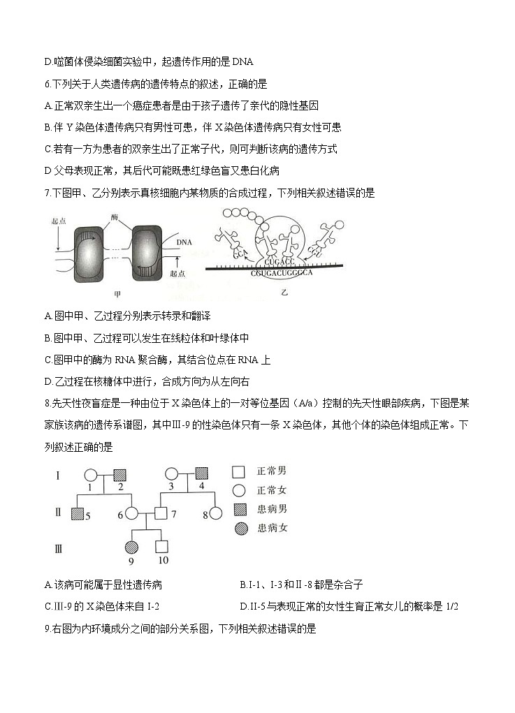 辽宁省辽阳市2021届高三上学期期末考试 生物 (含答案)第3页