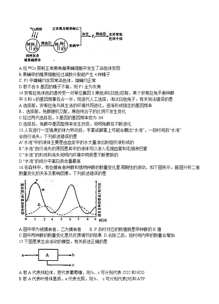 福建省三明市2021届高三上学期普通高中期末质量检测 生物 (含答案)第3页