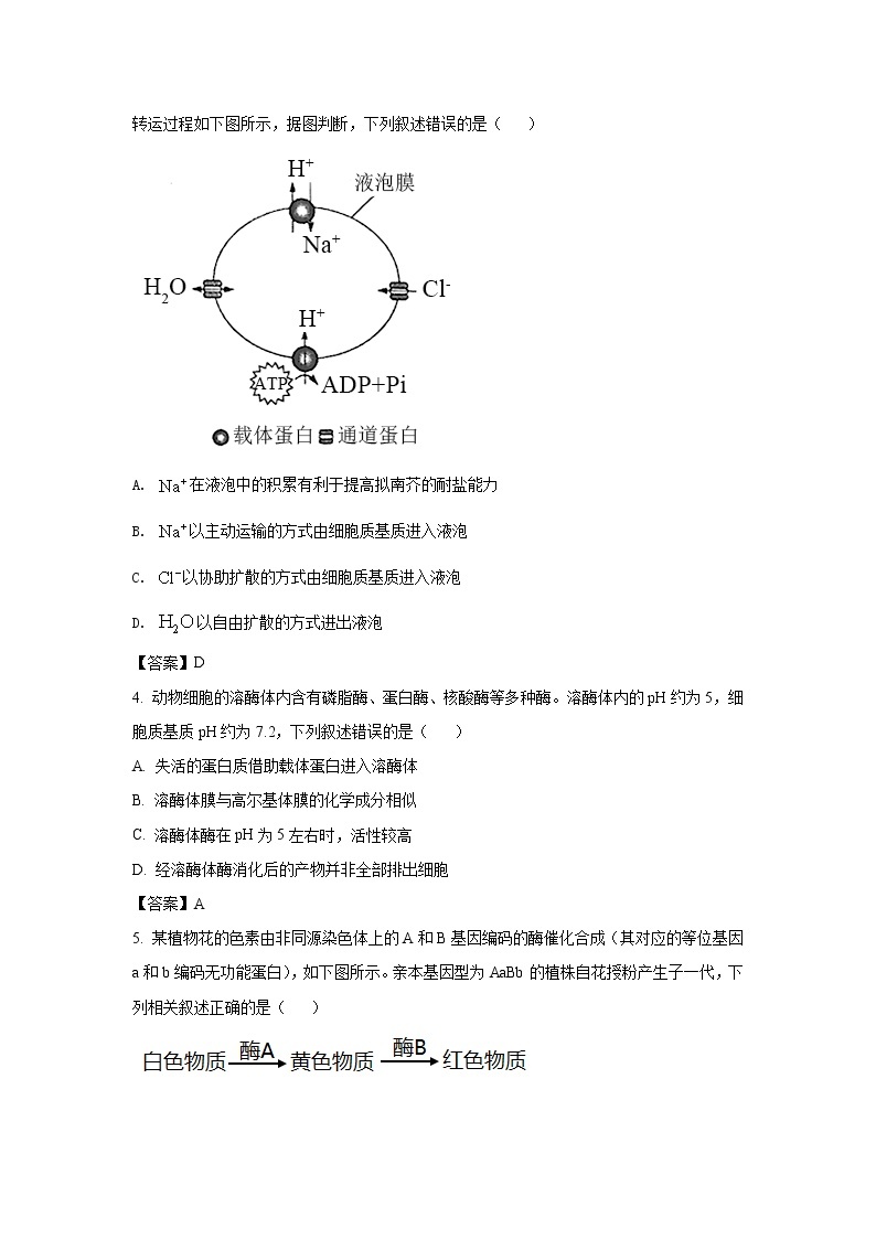 八省联考2021年湖北省普通高中学业水平选择性考试模拟演练生物试卷（含答案）02