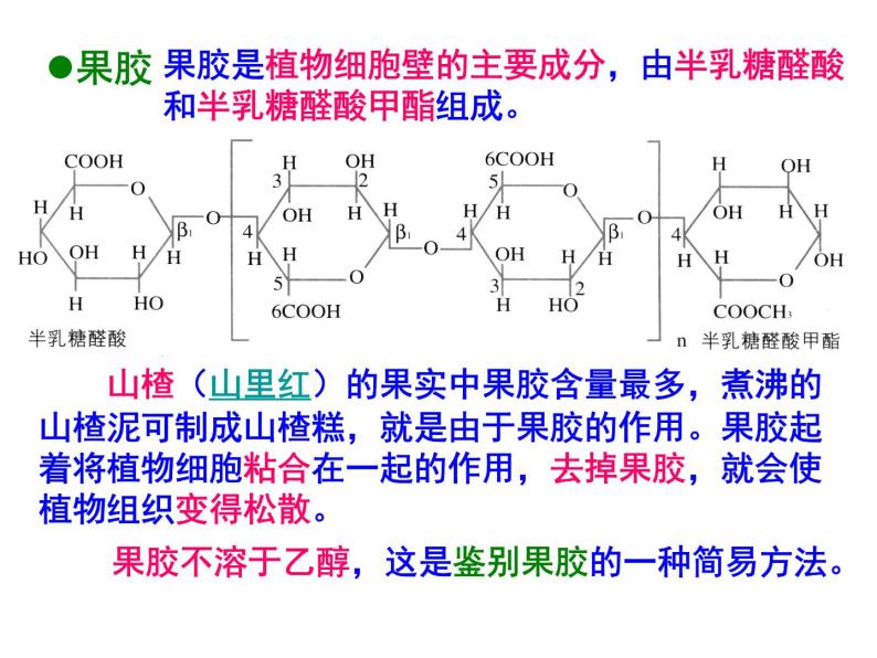 生物：第二部分《实验四 果汁中的果胶和果胶酶》课件5（浙科版选修1）08