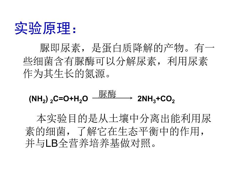 浙科版生物选修1:《实验二 微生物的培养和利用》课件03