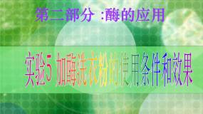 高中生物课题2 月季的花药培养图片课件ppt