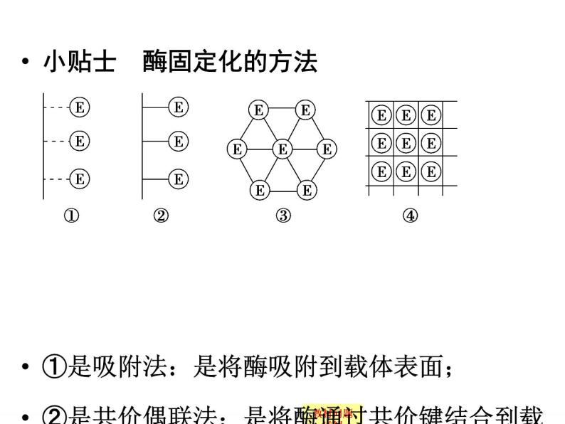 浙科版）课件+课时作业-选修一 第二部分  酶的应用1-2-4ppt课件05