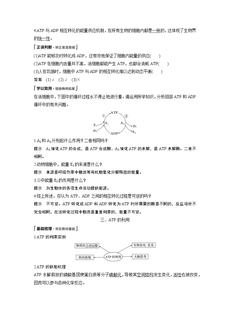 高中生物人教版（2019）必修第一册  第5章 第2节　细胞的能量“货币”ATP教案03