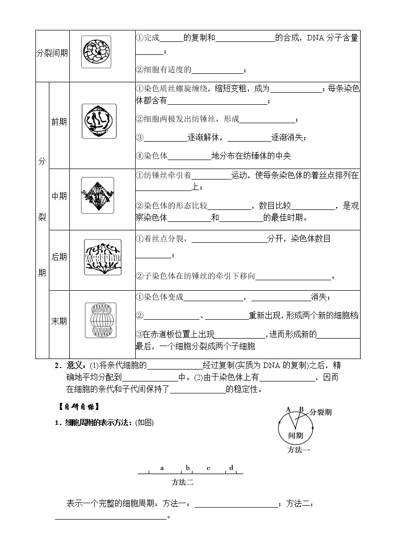 人教版高中生物必修1学案：6.1细胞的增殖（1） Word版含答案02