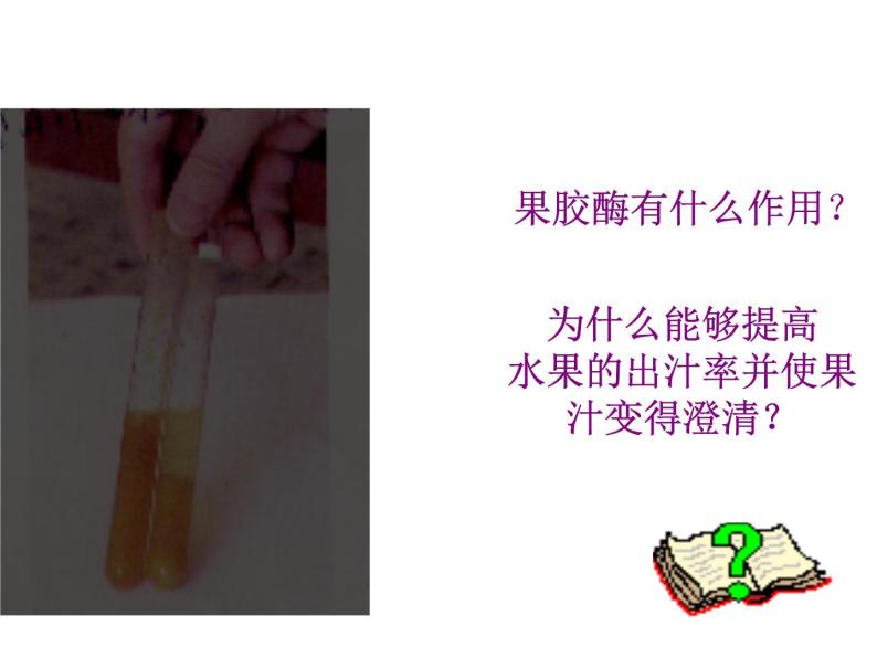 生物：4.1《果胶酶在果汁生产中的应用》课件（1）（新人教版选修1）05