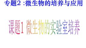 高中生物人教版 (新课标)选修1《生物技术实践》课题1 微生物的实验室培养图片课件ppt