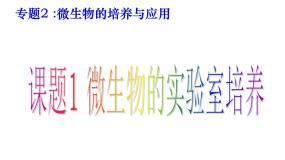 高中生物人教版 (新课标)选修1《生物技术实践》课题1 微生物的实验室培养课文配套课件ppt