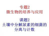 生物：2.2《土壤中分解尿素的细菌的分离与计数》课件（新人教版选修1）