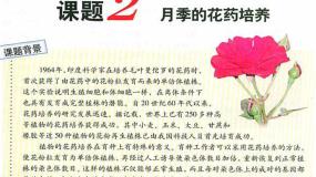 人教版 (新课标)选修1《生物技术实践》课题2 月季的花药培养评课课件ppt
