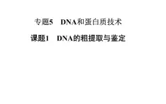 高中生物选修1课件：5.1DNA的粗提取与鉴定（共43张PPT）