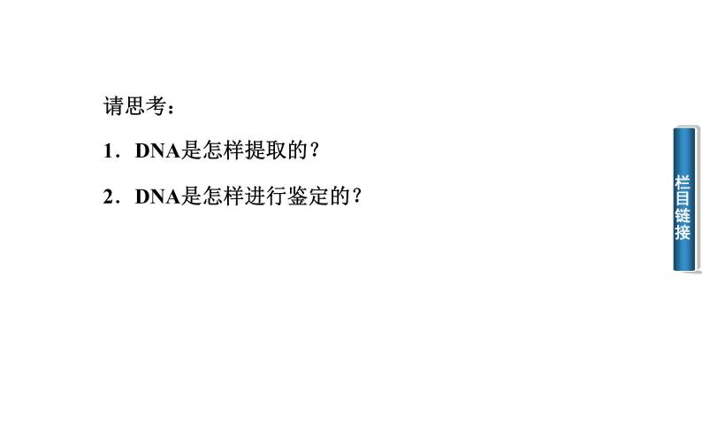高中生物选修1课件：5.1DNA的粗提取与鉴定（共43张PPT）05