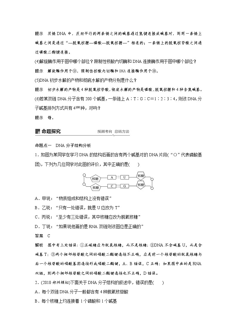 2020版高考生物大一轮人教讲义:第六单元 第18讲 DNA分子的结构、复制及基因的本质第3页