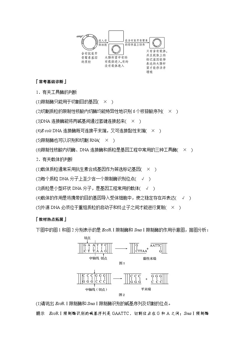 2020版高考生物大一轮人教讲义:第十单元 第33讲 基因工程第3页