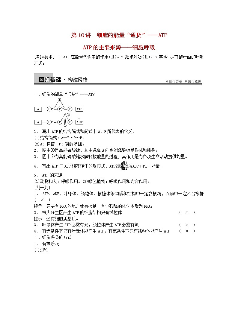 高三生物(人教版通用)一轮复习教案--- 第10讲 细胞的能量“通货” ATP ATP的主要来源 细胞呼吸第1页