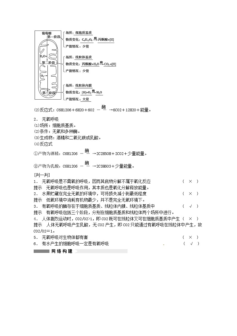 高三生物(人教版通用)一轮复习教案--- 第10讲 细胞的能量“通货” ATP ATP的主要来源 细胞呼吸第2页