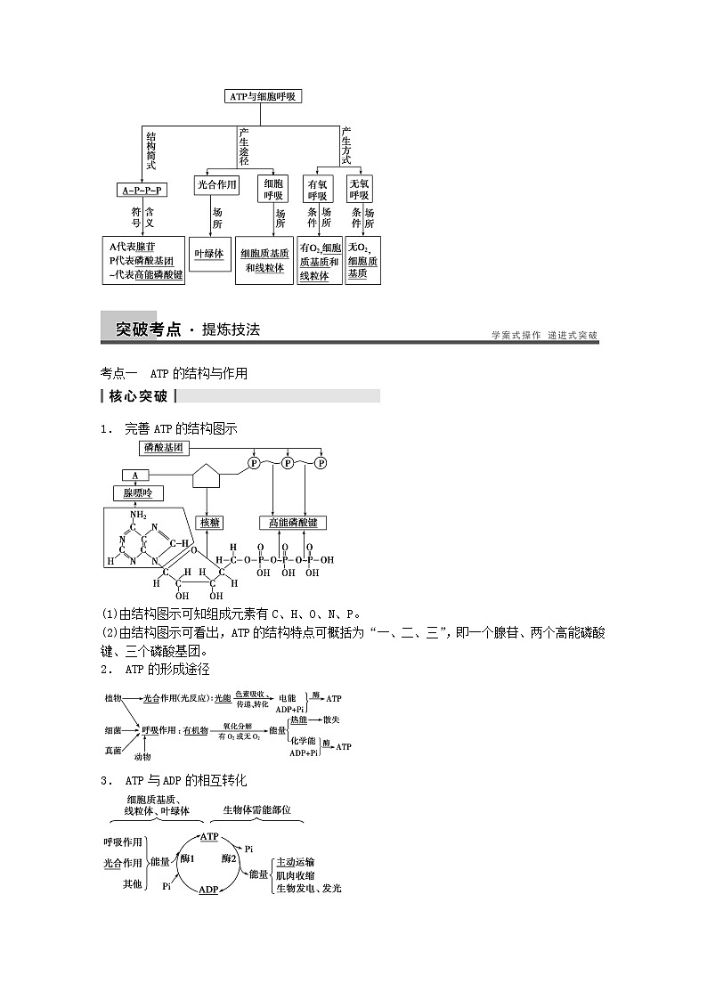 高三生物(人教版通用)一轮复习教案--- 第10讲 细胞的能量“通货” ATP ATP的主要来源 细胞呼吸第3页