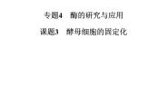 高中人教版 (新课标)课题3 酵母细胞的固定化教案配套ppt课件