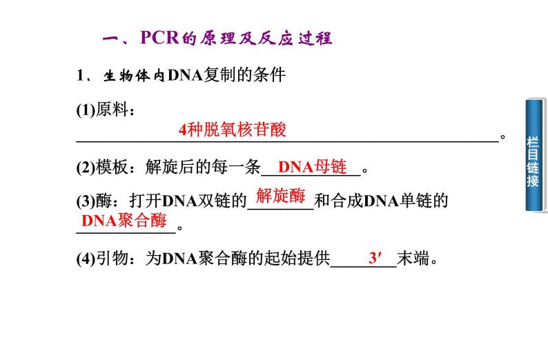 高中生物选修1课件：5.2多聚酶链式反应扩增DNA片段（共35张PPT）07