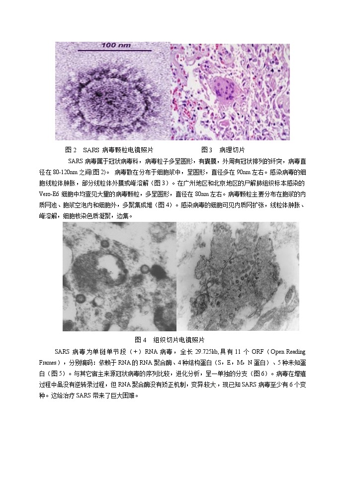 人教高中生物必修1教案： 1.1　从生物圈到细胞　203