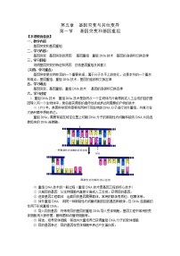 生物必修2《遗传与进化》第1节 基因突变和基因重组教案设计