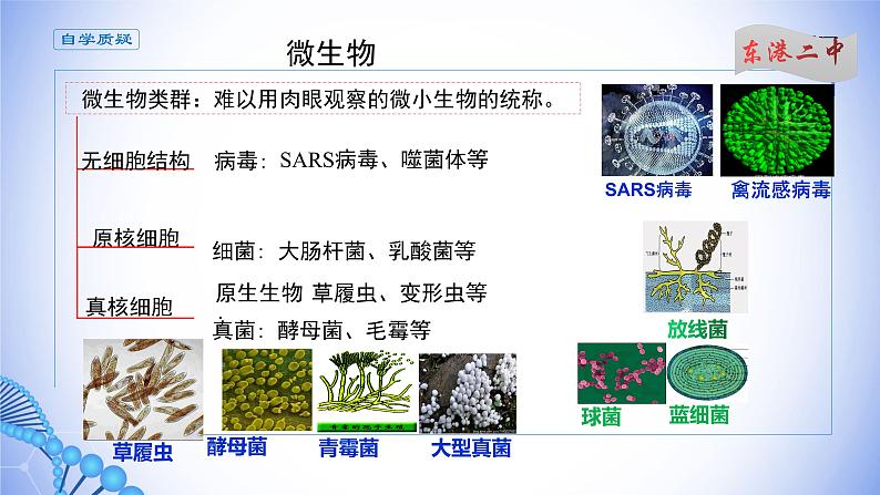 课件 1.2.1微生物的基本培养技术(一)第3页