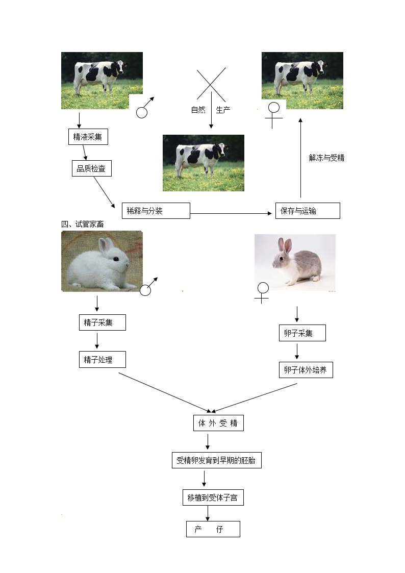 生物：2.1《农业生产中的繁殖控制技术》学案（新人教版选修2）02