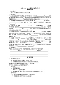 高中1.1 DNA重组技术的基本工具学案