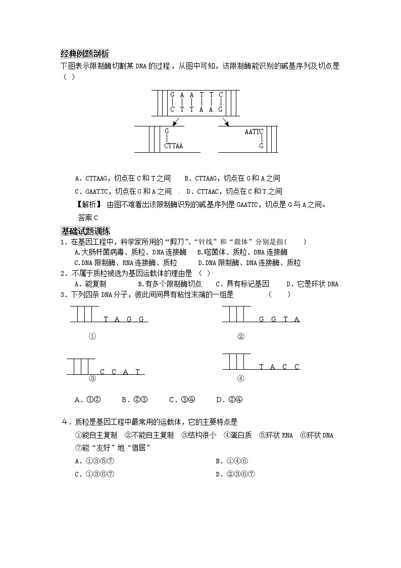 人教版高中生物选修31、1 DNA重组技术的基本工具学案02