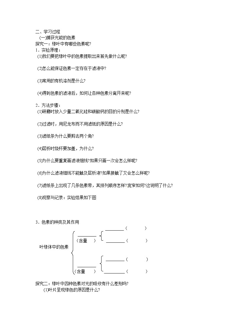 人教版高中生物必修一第五章第4节《能量之源——光与光合作用》第一课时导学案第2页