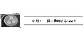 人教版 (新课标)选修1《生物技术实践》课题1 微生物的实验室培养课文内容课件ppt