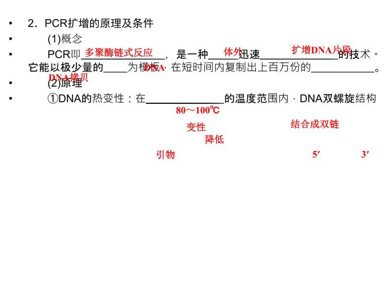 高效课堂同步课件：5-2多聚酶链式反应扩增DNA片段（选修1）05