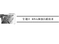 高效课堂同步课件：5-1DNA的粗提取与鉴定（选修1）