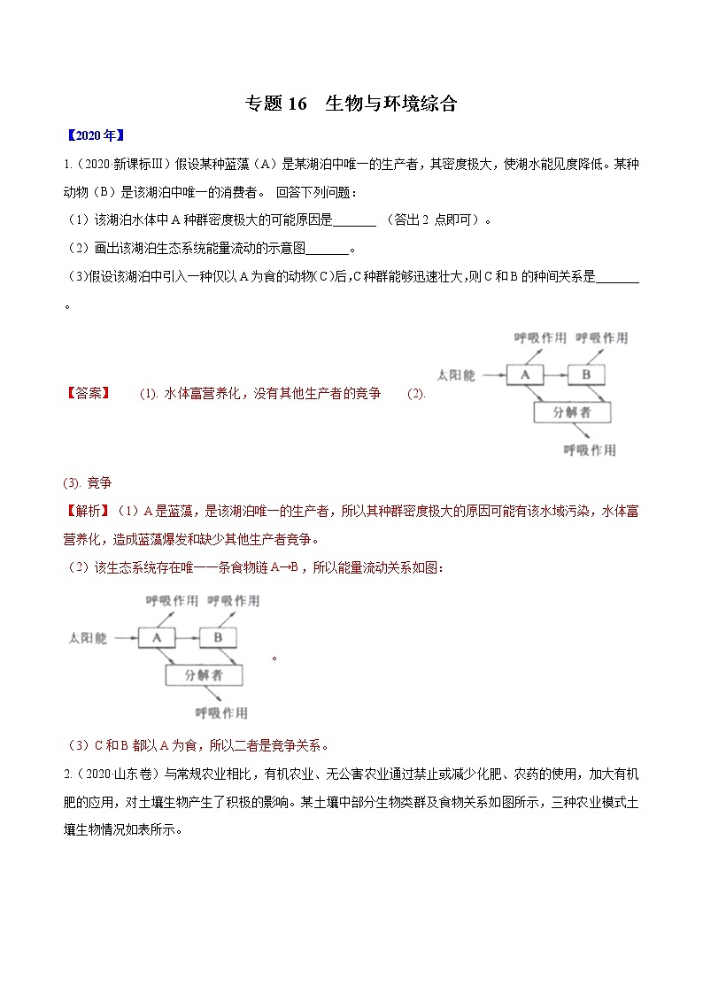 高考生物(2011~2020)真题专项练习 专题16 生物与环境综合 (解析版)01