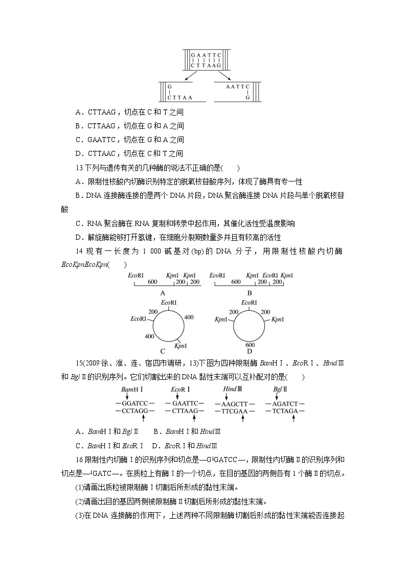 生物人教版选修3自我小测 1.1DNA重组技术的基本工具 Word版含解析03