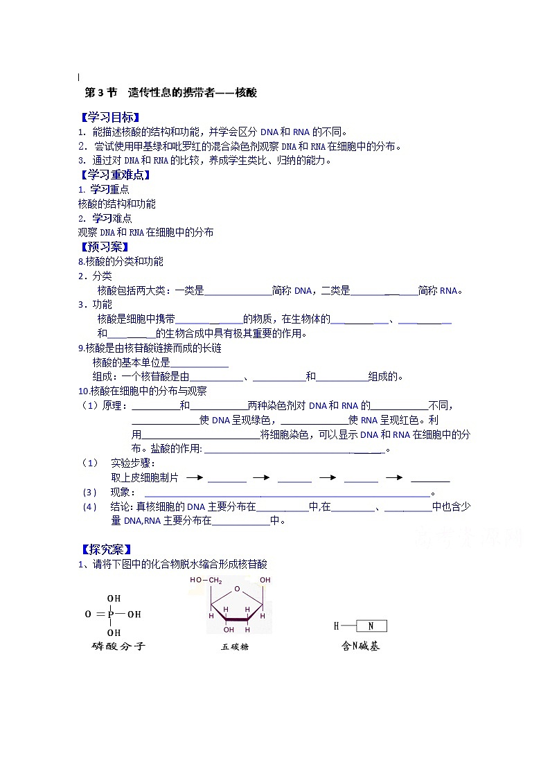高中生物教案 必修一:第二章 组成细胞的分子 第3节 遗传性息的携带者——核酸01