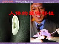 生物：1.3《人体的器官移植》课件1（新人教版选修2）