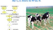 人教版 (新课标)选修2《生物科学与社会》第2节 现代生物技术在育种上的应用教案配套课件ppt