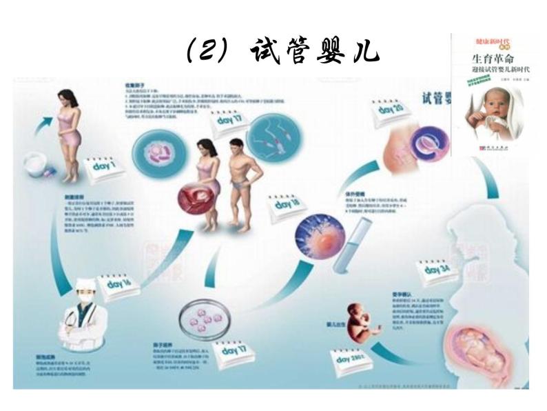 生物：1.4《生殖健康》课件2（新人教版选修2）06