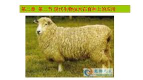 高中生物人教版 (新课标)选修2《生物科学与社会》第2节 现代生物技术在育种上的应用示范课课件ppt