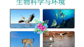 高中第1节 生物性污染及其预防示范课ppt课件