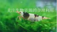 高中生物人教版 (新课标)选修2《生物科学与社会》第3节 关注生物资源的合理利用教课内容ppt课件