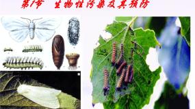 生物选修2《生物科学与社会》第1节 生物性污染及其预防课堂教学ppt课件