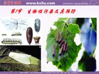 生物：4.1《生物性污染及其预防》课件（6）（新人教版选修2）