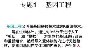 2021学年专题1 基因工程综合与测试图文ppt课件