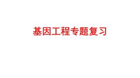高中人教版 (新课标)专题1 基因工程综合与测试课前预习课件ppt