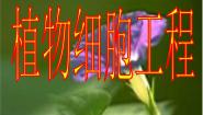 高中生物人教版 (新课标)选修3《现代生物科技专题》本节综合评课ppt课件